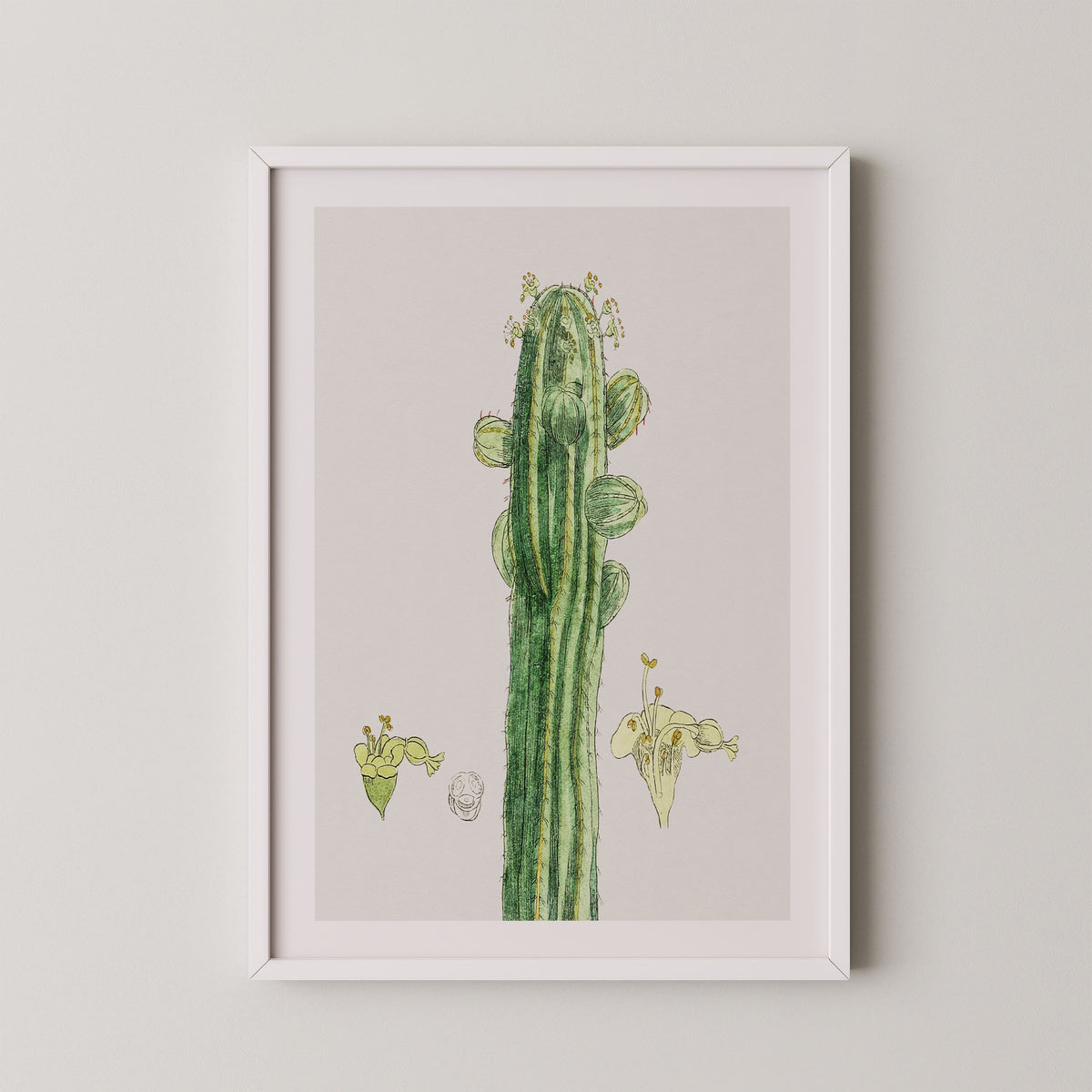 white frame

