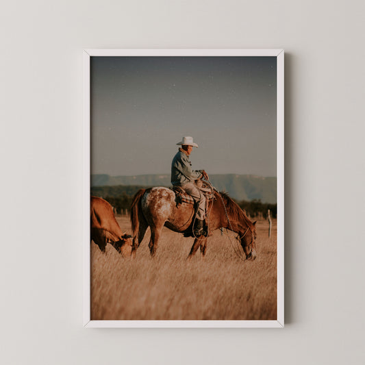 white frame

