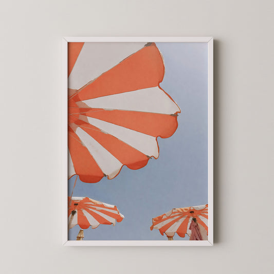 white frame
